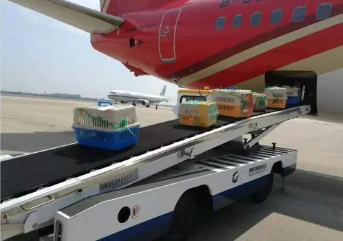 桂林机场货运
